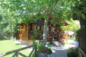 Отель Cabañas los Pinos Arroyo Frio  Арройо Фрио